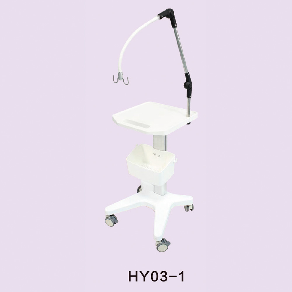 HY03-1